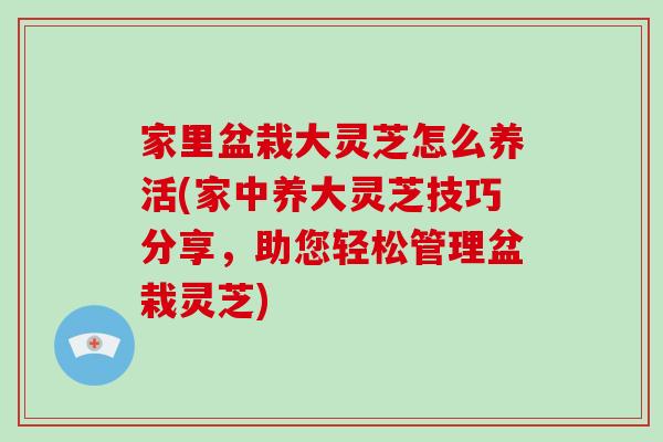 家里盆栽大灵芝怎么养活(家中养大灵芝技巧分享，助您轻松管理盆栽灵芝)