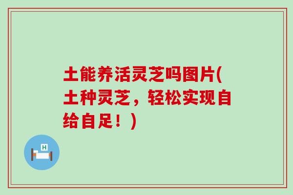 土能养活灵芝吗图片(土种灵芝，轻松实现自给自足！)