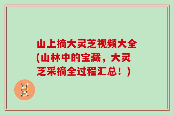 山上摘大灵芝视频大全(山林中的宝藏，大灵芝采摘全过程汇总！)