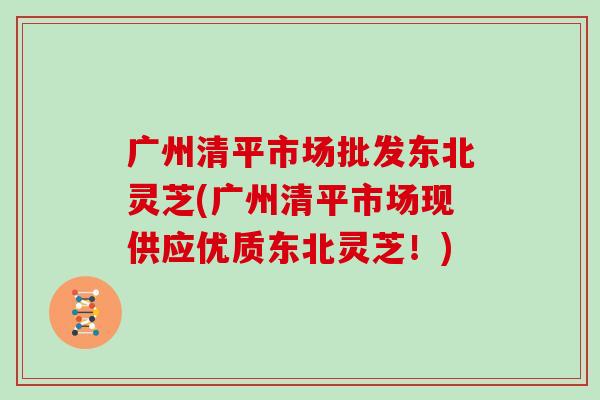 广州清平市场批发东北灵芝(广州清平市场现供应优质东北灵芝！)