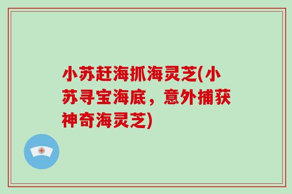 小苏赶海抓海灵芝(小苏寻宝海底，意外捕获神奇海灵芝)