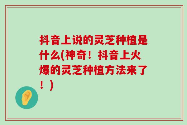 抖音上说的灵芝种植是什么(神奇！抖音上火爆的灵芝种植方法来了！)