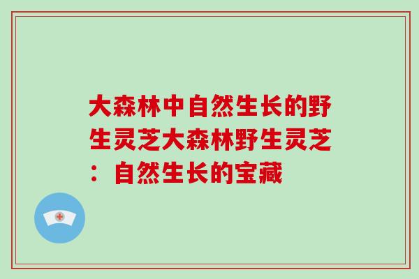 大森林中自然生长的野生灵芝大森林野生灵芝：自然生长的宝藏