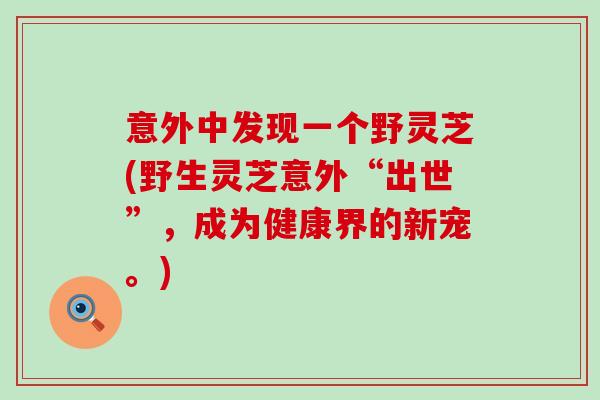 意外中发现一个野灵芝(野生灵芝意外“出世”，成为健康界的新宠。)