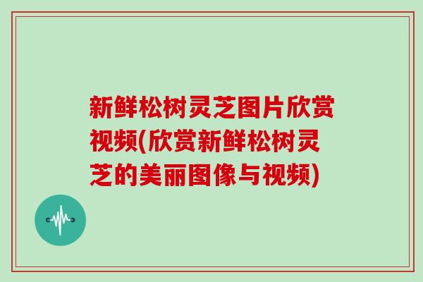 新鲜松树灵芝图片欣赏视频(欣赏新鲜松树灵芝的美丽图像与视频)