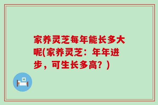 家养灵芝每年能长多大呢(家养灵芝：年年进步，可生长多高？)