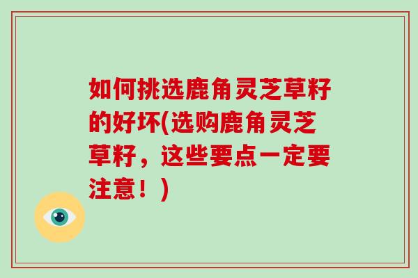 如何挑选鹿角灵芝草籽的好坏(选购鹿角灵芝草籽，这些要点一定要注意！)