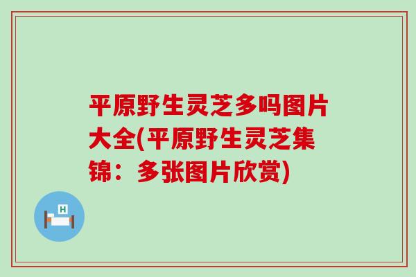 平原野生灵芝多吗图片大全(平原野生灵芝集锦：多张图片欣赏)