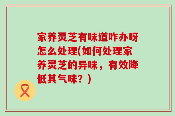 家养灵芝有味道咋办呀怎么处理(如何处理家养灵芝的异味，有效降低其气味？)