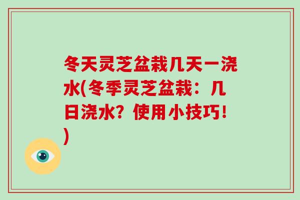 冬天灵芝盆栽几天一浇水(冬季灵芝盆栽：几日浇水？使用小技巧！)