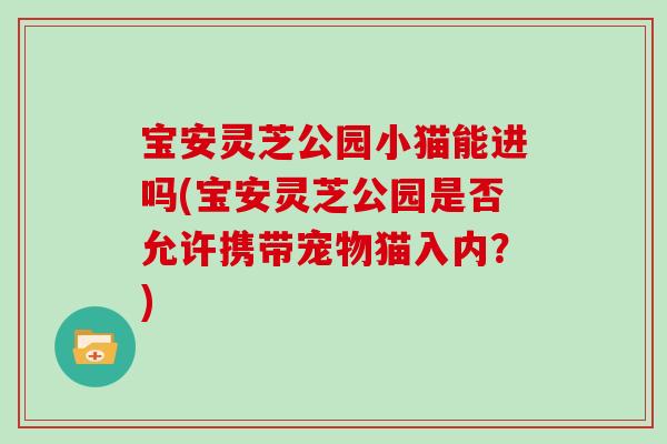 宝安灵芝公园小猫能进吗(宝安灵芝公园是否允许携带宠物猫入内？)