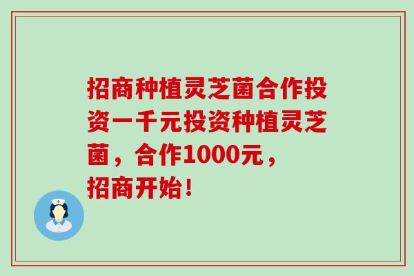 招商种植灵芝菌合作投资一千元投资种植灵芝菌，合作1000元，招商开始！