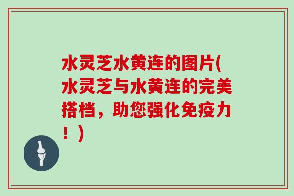 水灵芝水黄连的图片(水灵芝与水黄连的完美搭档，助您强化免疫力！)