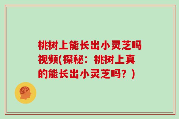 桃树上能长出小灵芝吗视频(探秘：桃树上真的能长出小灵芝吗？)