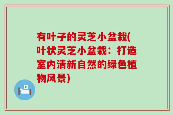 有叶子的灵芝小盆栽(叶状灵芝小盆栽：打造室内清新自然的绿色植物风景)