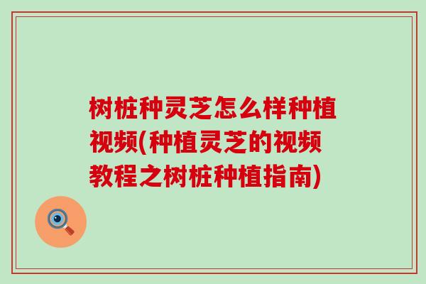 树桩种灵芝怎么样种植视频(种植灵芝的视频教程之树桩种植指南)