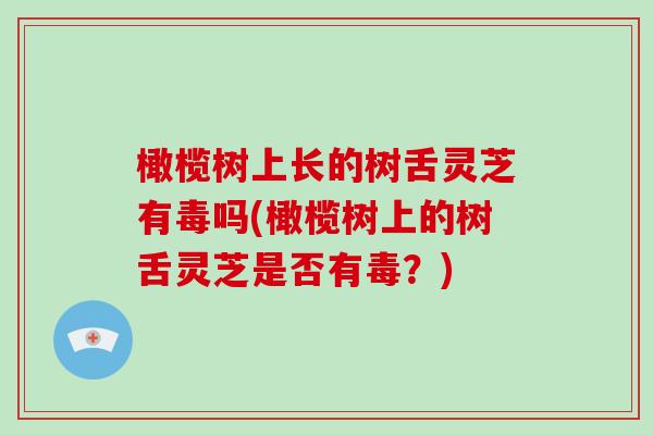 橄榄树上长的树舌灵芝有毒吗(橄榄树上的树舌灵芝是否有毒？)