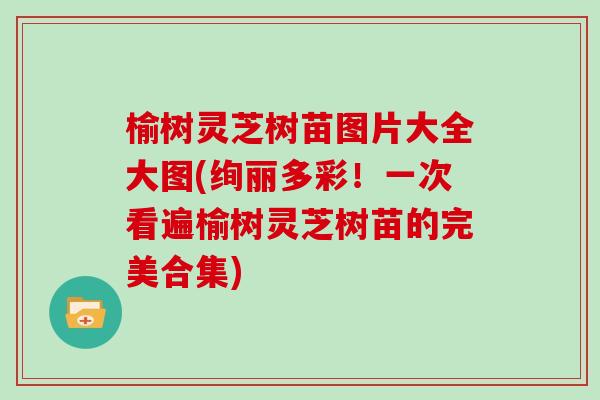 榆树灵芝树苗图片大全大图(绚丽多彩！一次看遍榆树灵芝树苗的完美合集)