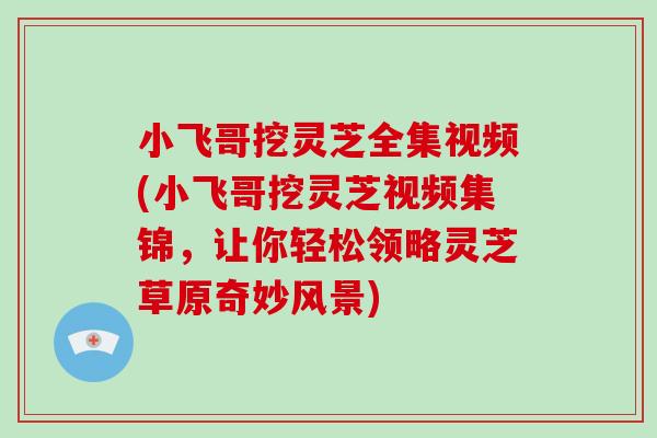 小飞哥挖灵芝全集视频(小飞哥挖灵芝视频集锦，让你轻松领略灵芝草原奇妙风景)