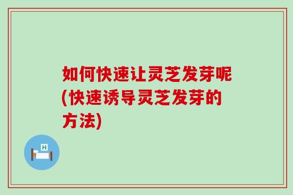 如何快速让灵芝发芽呢(快速诱导灵芝发芽的方法)