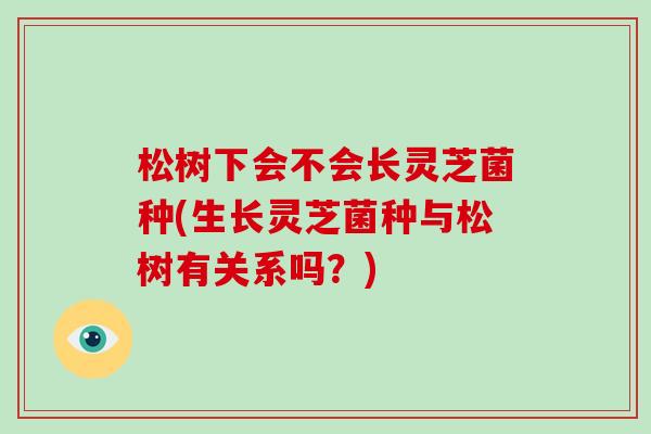 松树下会不会长灵芝菌种(生长灵芝菌种与松树有关系吗？)