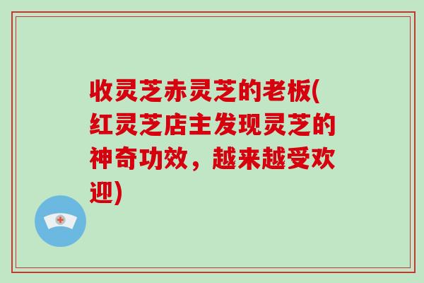 收灵芝赤灵芝的老板(红灵芝店主发现灵芝的神奇功效，越来越受欢迎)