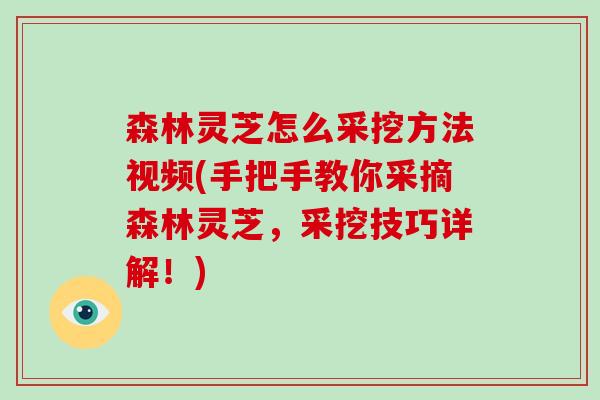 森林灵芝怎么采挖方法视频(手把手教你采摘森林灵芝，采挖技巧详解！)