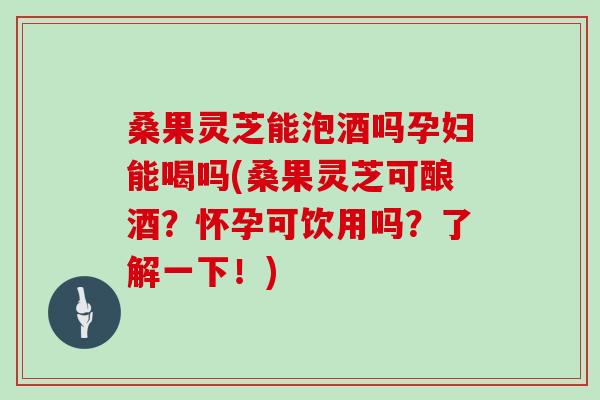 桑果灵芝能泡酒吗孕妇能喝吗(桑果灵芝可酿酒？怀孕可饮用吗？了解一下！)