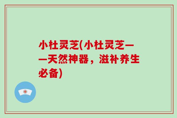 小杜灵芝(小杜灵芝——天然神器，滋补养生必备)