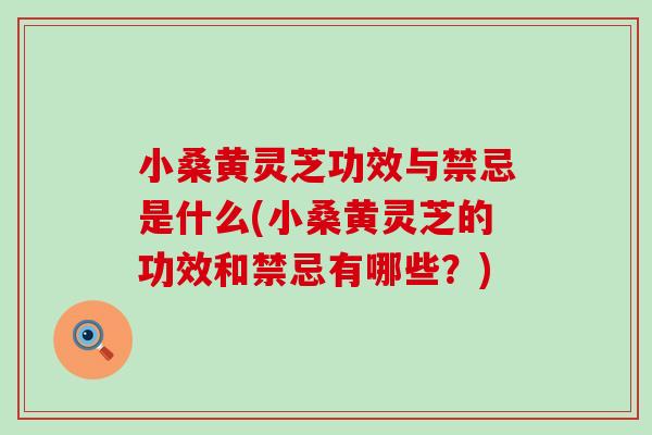 小桑黄灵芝功效与禁忌是什么(小桑黄灵芝的功效和禁忌有哪些？)