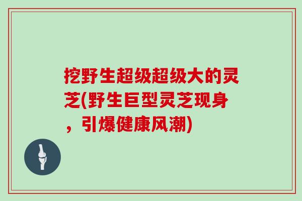 挖野生超级超级大的灵芝(野生巨型灵芝现身，引爆健康风潮)