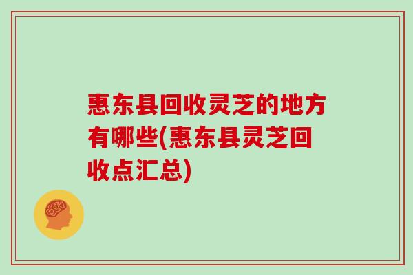 惠东县回收灵芝的地方有哪些(惠东县灵芝回收点汇总)