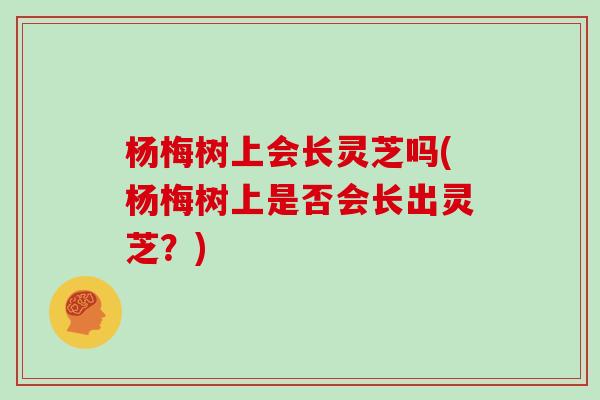 杨梅树上会长灵芝吗(杨梅树上是否会长出灵芝？)