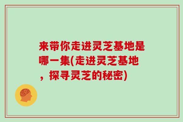 来带你走进灵芝基地是哪一集(走进灵芝基地，探寻灵芝的秘密)