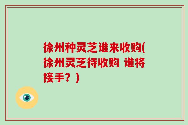 徐州种灵芝谁来收购(徐州灵芝待收购 谁将接手？)