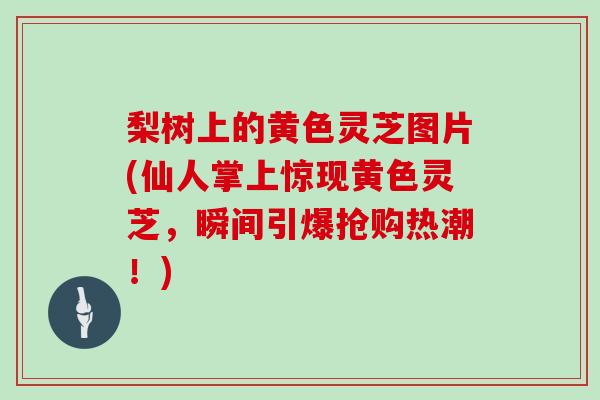 梨树上的黄色灵芝图片(仙人掌上惊现黄色灵芝，瞬间引爆抢购热潮！)