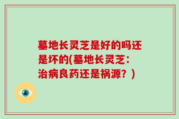 墓地长灵芝是好的吗还是坏的(墓地长灵芝：良药还是祸源？)