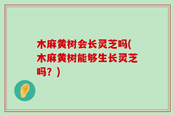 木麻黄树会长灵芝吗(木麻黄树能够生长灵芝吗？)