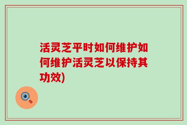 活灵芝平时如何维护如何维护活灵芝以保持其功效)