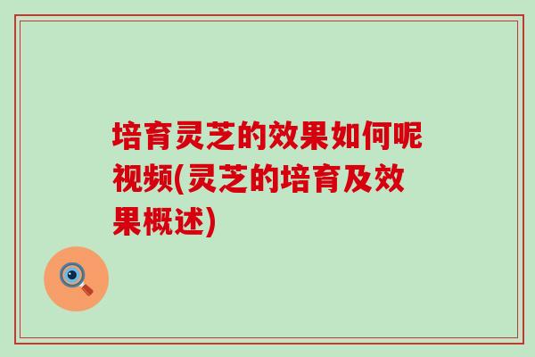 培育灵芝的效果如何呢视频(灵芝的培育及效果概述)