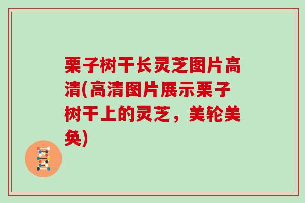 栗子树干长灵芝图片高清(高清图片展示栗子树干上的灵芝，美轮美奂)