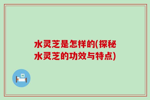 水灵芝是怎样的(探秘水灵芝的功效与特点)