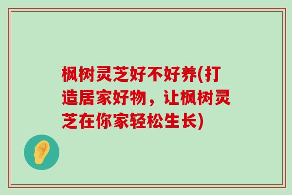 枫树灵芝好不好养(打造居家好物，让枫树灵芝在你家轻松生长)