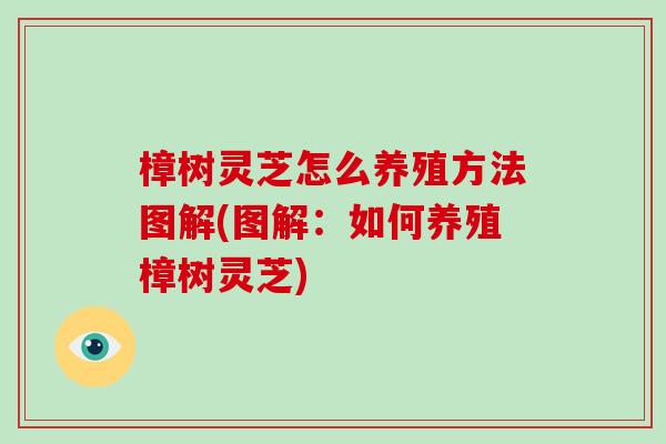 樟树灵芝怎么养殖方法图解(图解：如何养殖樟树灵芝)