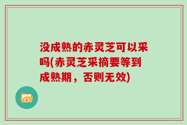 没成熟的赤灵芝可以采吗(赤灵芝采摘要等到成熟期，否则无效)