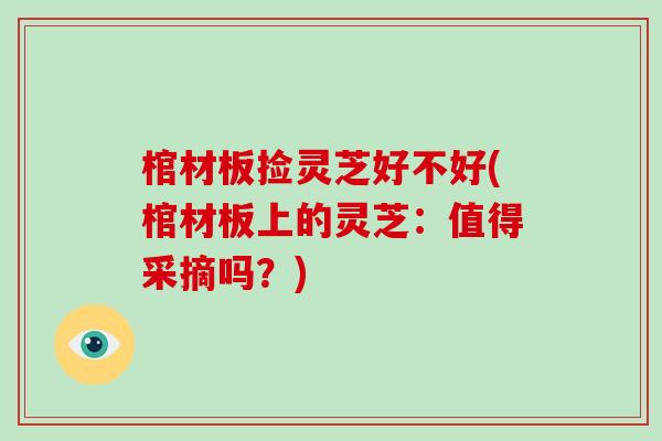 棺材板捡灵芝好不好(棺材板上的灵芝：值得采摘吗？)