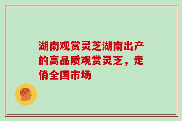 湖南观赏灵芝湖南出产的高品质观赏灵芝，走俏全国市场