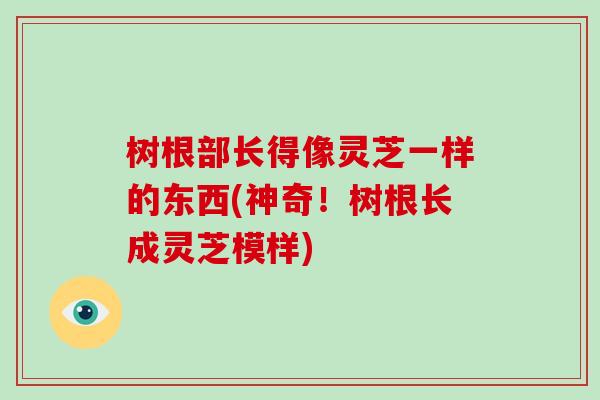 树根部长得像灵芝一样的东西(神奇！树根长成灵芝模样)