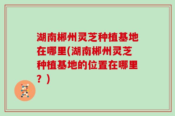 湖南郴州灵芝种植基地在哪里(湖南郴州灵芝种植基地的位置在哪里？)