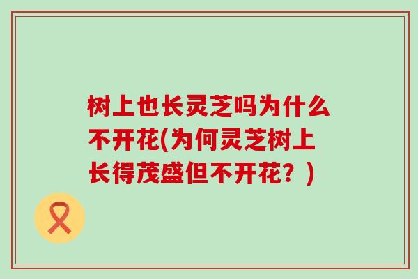 树上也长灵芝吗为什么不开花(为何灵芝树上长得茂盛但不开花？)